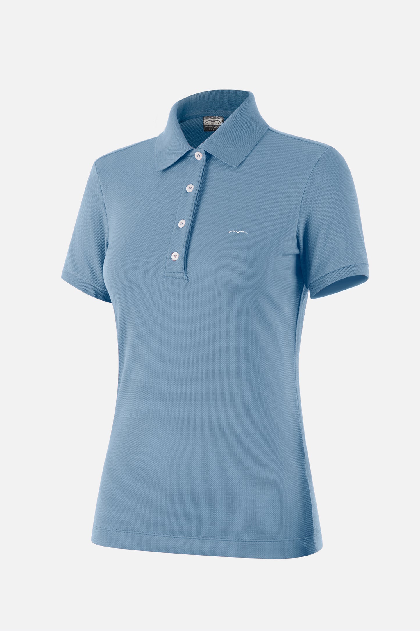 Biarritz Ladies Training Polo