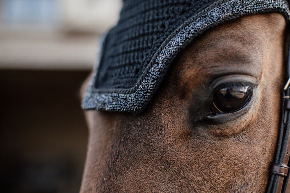 Kentucky Wellington Glitter Stone Ear Net