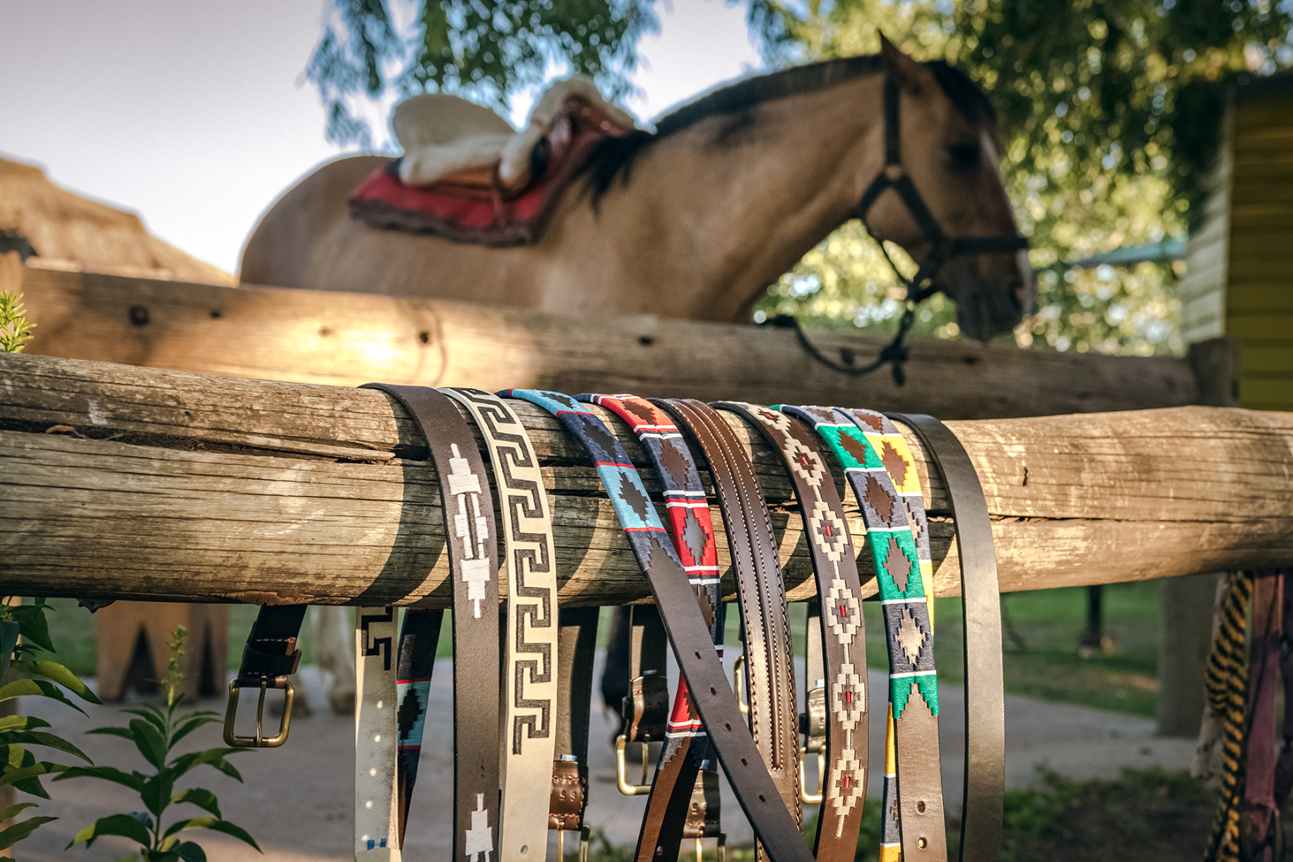 A group of polo-style leather belts with colorful geometric and Argentinian inspired patterns hanging from a rustic wooden fence. A brown horse is visible in the soft-focus background outdoors.