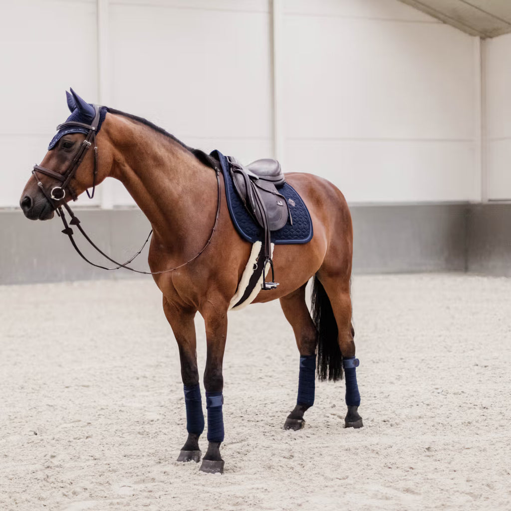 Kentucky Horsewear Glitter Rope jumping saddle pad with star quilting