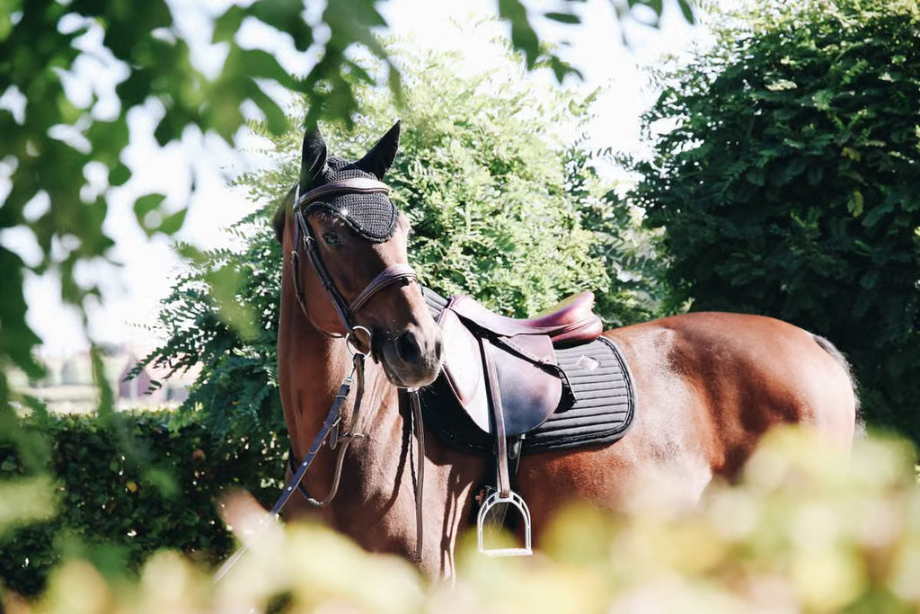 Kentucky Horsewear Wellington Fly Veil – Long Stone & Pearl