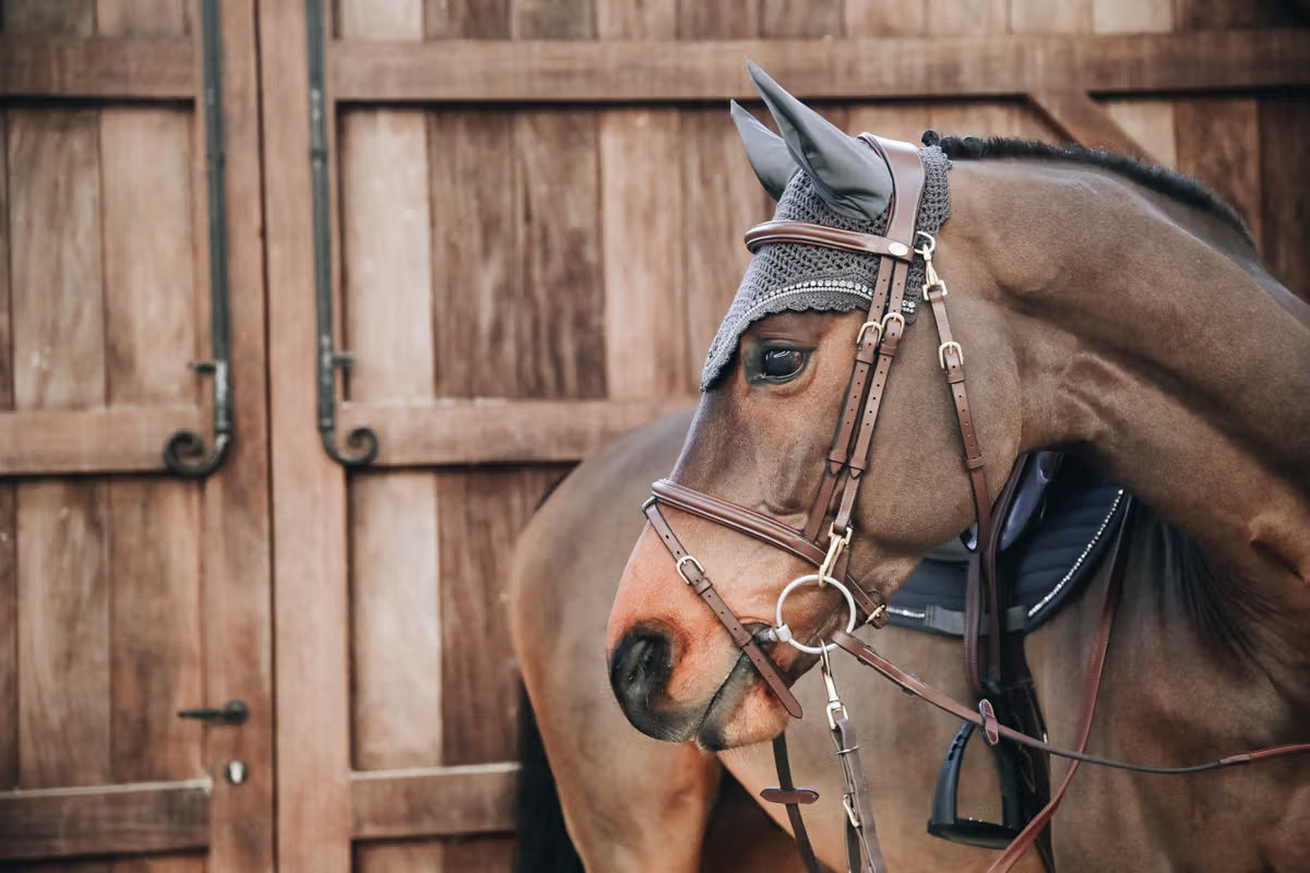 Kentucky Horsewear Wellington Fly Veil – Long Stone & Pearl