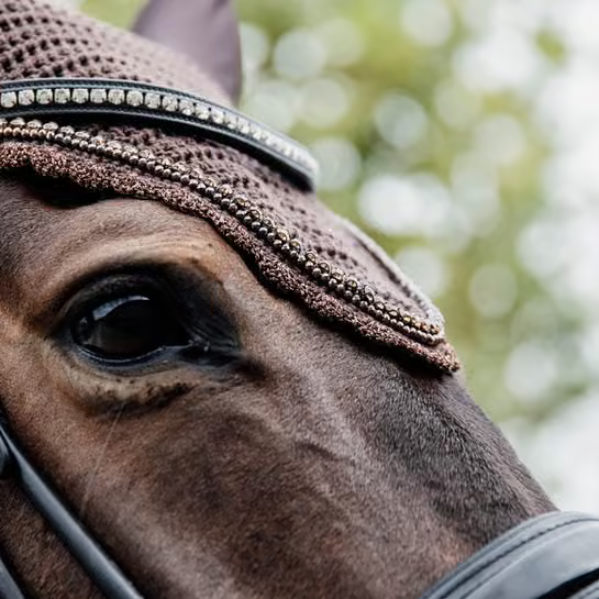 Kentucky Horsewear Wellington Fly Veil – Long Stone & Pearl